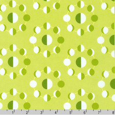 Planetarium by Elizabeth Hartman: Circles in Celery Planetarium by Elizabeth Hartman: Circles in Celery