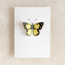 Sophie Brabbins UK: Clouded Yellow Pop Out Butterfly Greeting Card Sophie Brabbins UK: Clouded Yellow Pop Out Butterfly Greeting Card