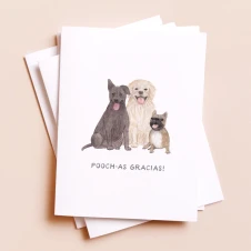 Amy Zhang: Pooch-as Gracias