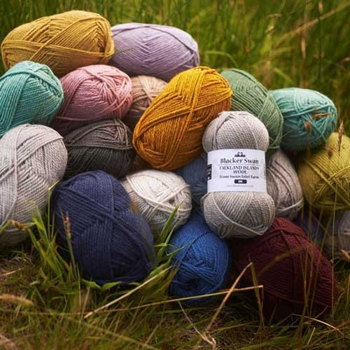 Blacker Swan - Falkland Islands Merino