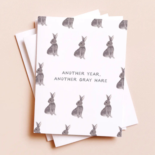 Amy Zhang: Gray Hares