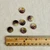 Golden Dream Shell (15 mm or 0.59")