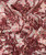 Liberty Fabrics: Marquess Belle B (Burgundy) Tana Lawn® 