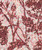 Liberty Fabrics: Marquess Belle B (Burgundy) Tana Lawn® 