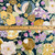 Liberty Fabrics: Jillie A (Soft) Tana Lawn® 