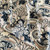 Liberty Fabrics: Firework Garden A (Blush Graphite) Tana Lawn® 