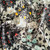 Liberty Fabrics: Orchard Fresco B (Grays) Tana Lawn® 