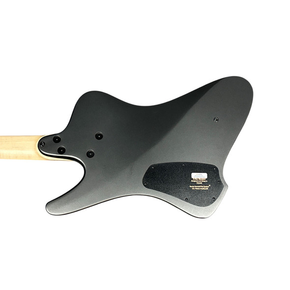 Dingwall D-Roc 5, Matte Black / Pau Ferro 5 String Bass At Bass Central