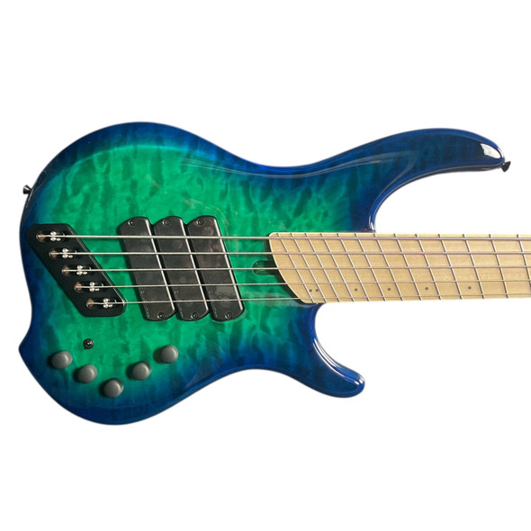 Dingwall, Combustion, 5 String, Bass guitar, fanned frets, whalepool, sheldon dingwall
