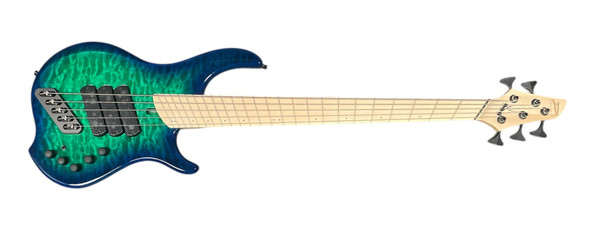 Dingwall, Combustion, 5 String, Bass guitar, fanned frets, whalepool, sheldon dingwall