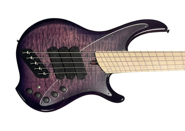 Dingwall, Nashville, Combustion, Neve, Ultra Violet, 5-string, Bass guitar
