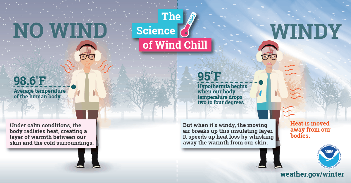 The Science of Wind Chill