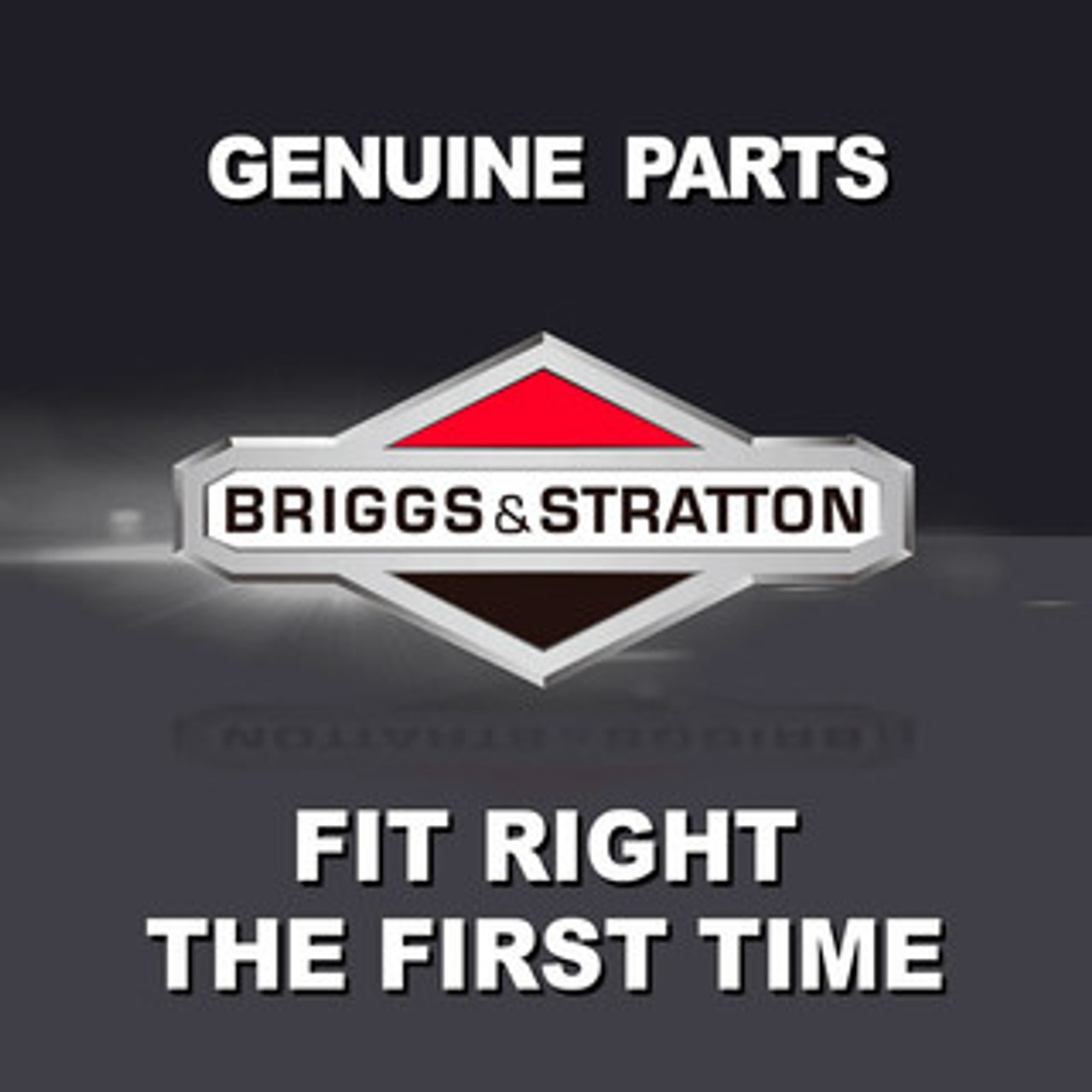 Briggs and Stratton Parts Logo—Fuel Regulator Heater for 17kW-26kW PowerProtect Generators