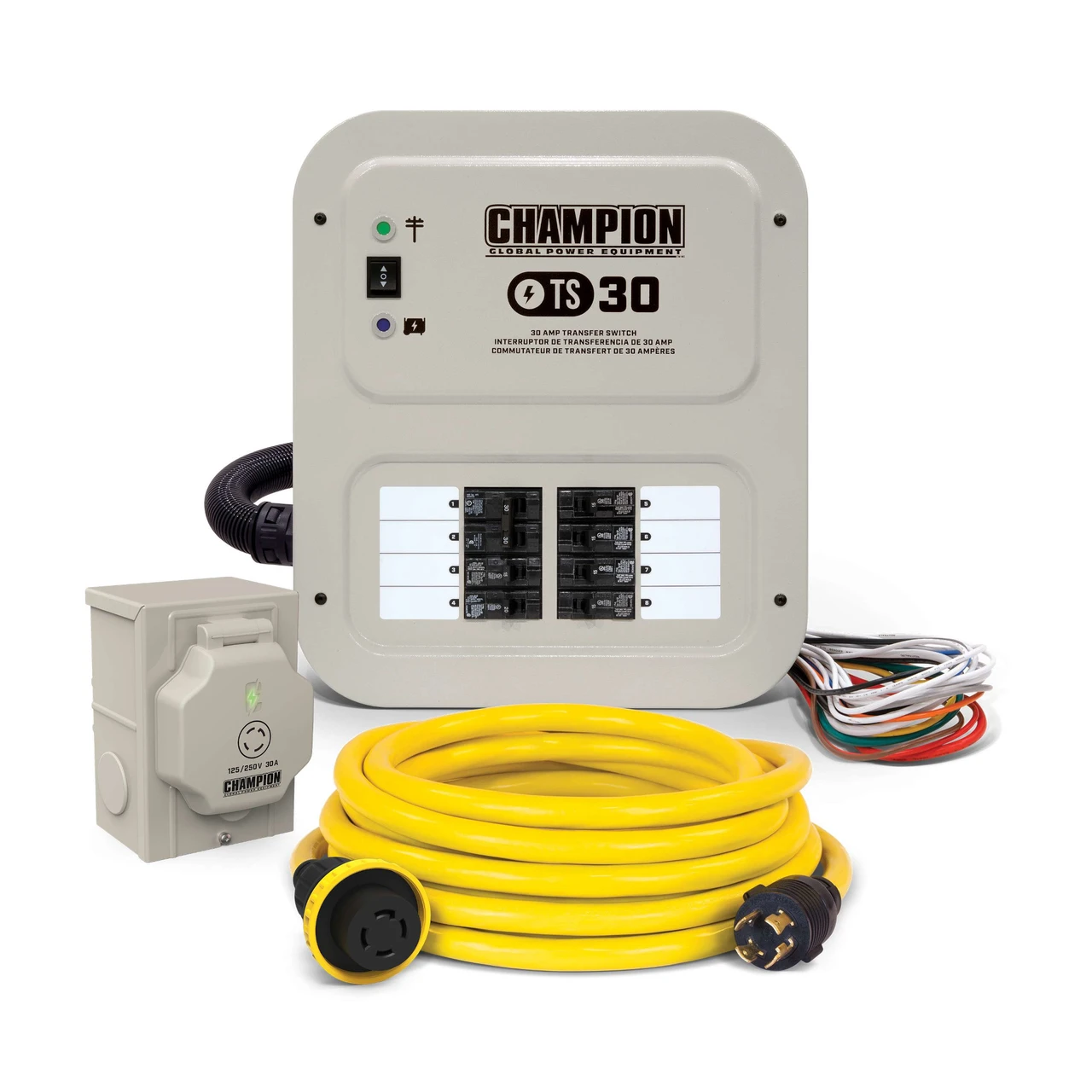 30-Amp Champion Manual Transfer Switch for Generator | Norwall
