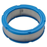 Briggs & Stratton Air Filter