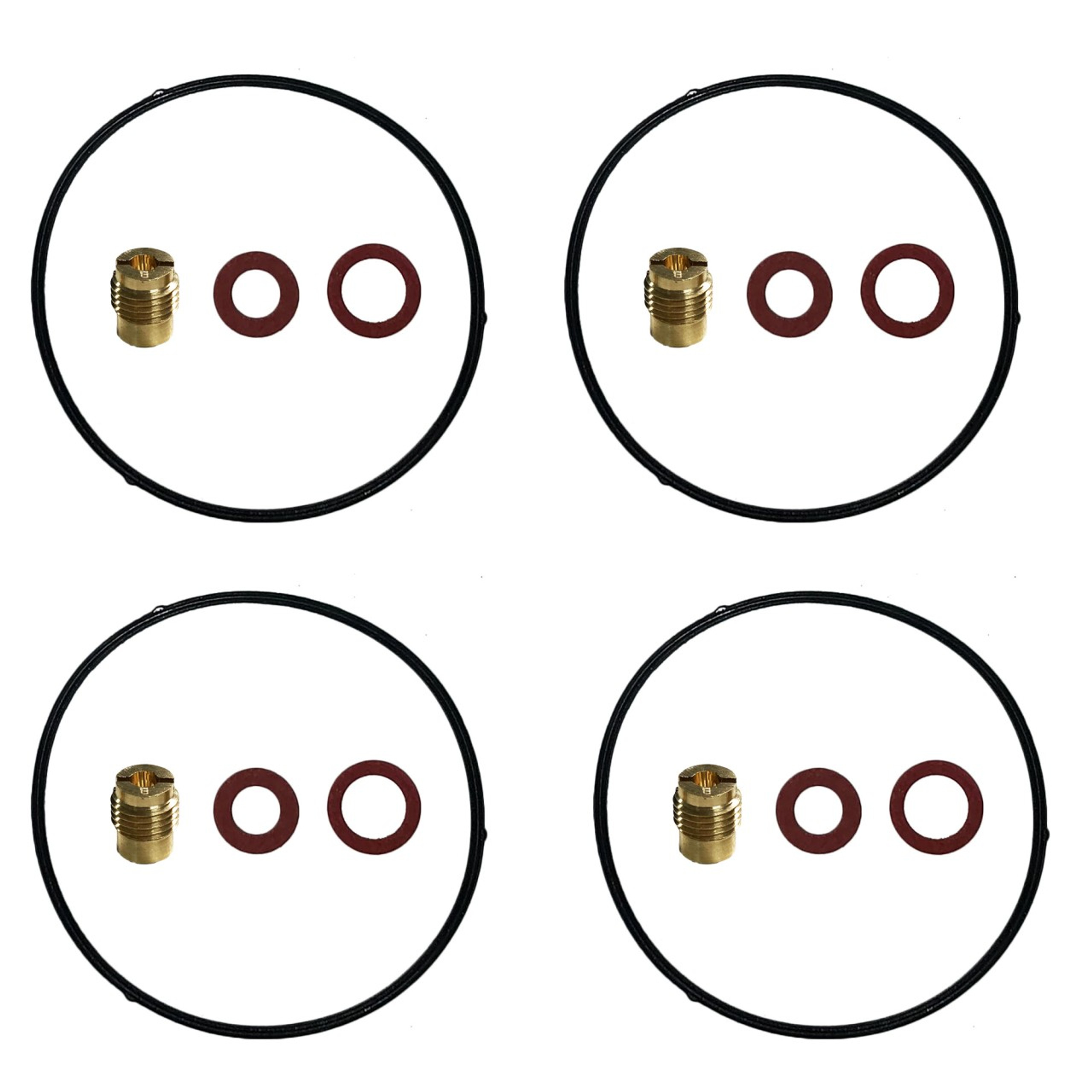 P4500i High Altitude Carburetor Kit 224cc Norwall