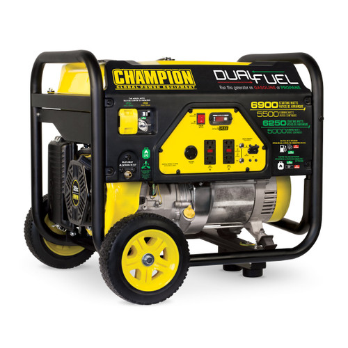 Champion 5500 Watt Dual Fuel RV Ready Portable Generator 100231