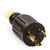 L5-30P Plug on the Champion 30 Amp 25-Foot Generator Extension Cord