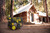 Champion 9200 Watt Generator Powering a Remote Cabin Surrounded by Redwoods