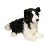 Chase Boarder Collie - Douglas