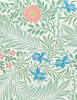 William Morris Keepsake Boxed Notecards - POMEGRANATE