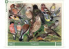 Songbirds 1000 Piece Jigsaw Puzzle