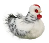 Salty Black & White Hen