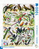 BIRDS ~ OISEAUX - 1000 Pcs