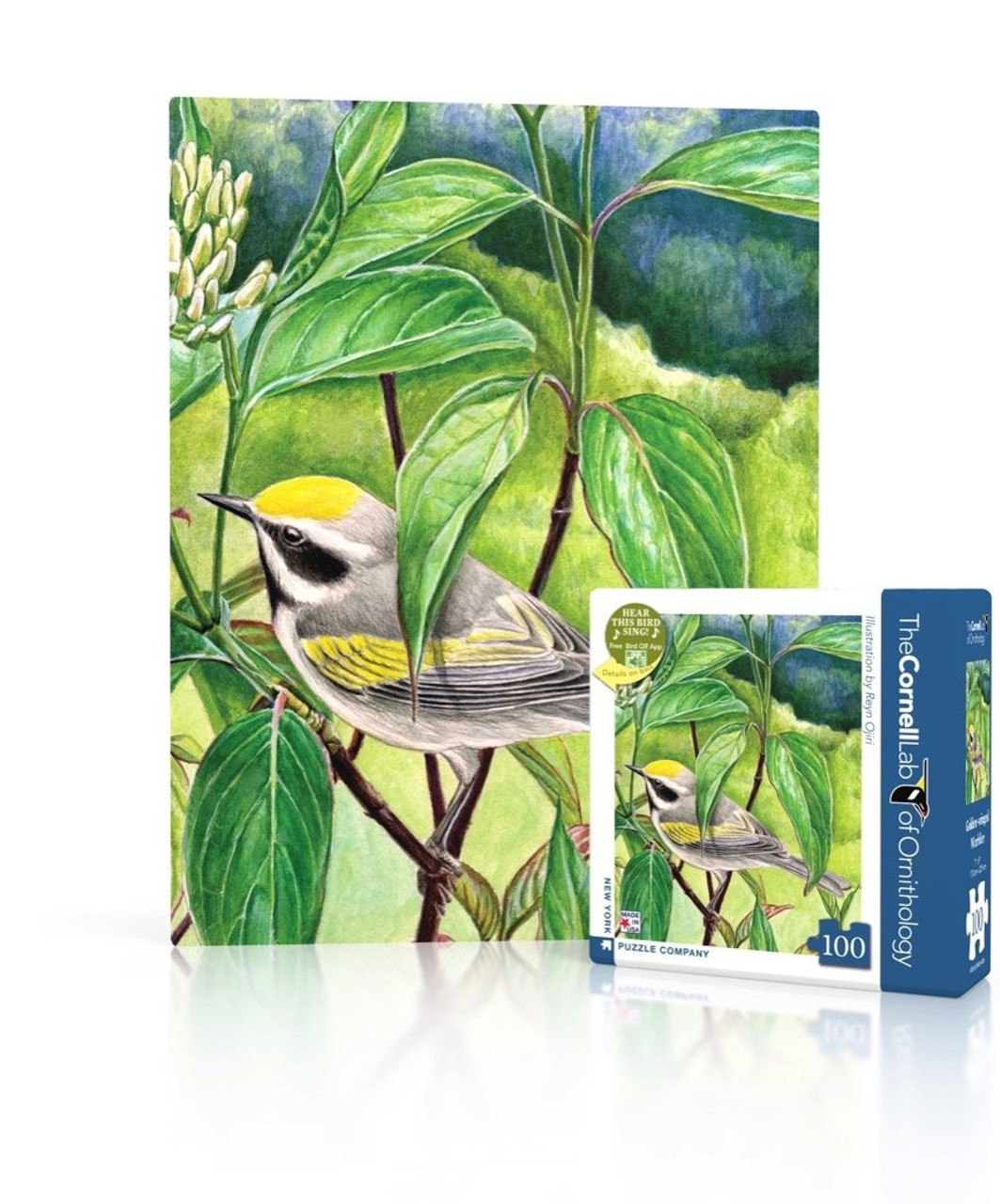 GOLDEN-WINGED WARBLER - 100 pcs Mini