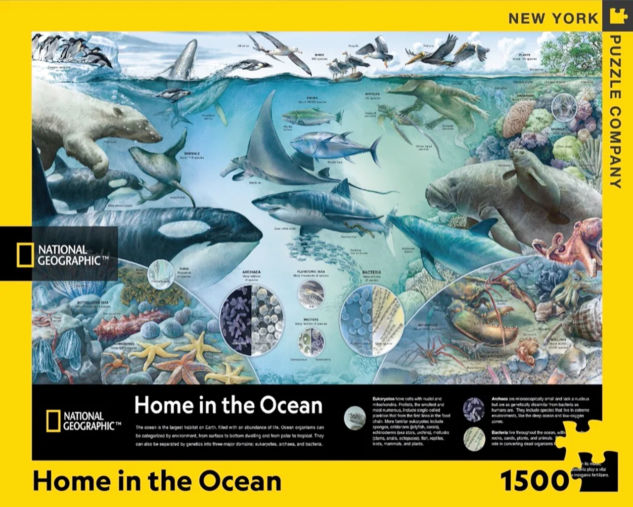 Home in the Ocean - 1500 Pcs