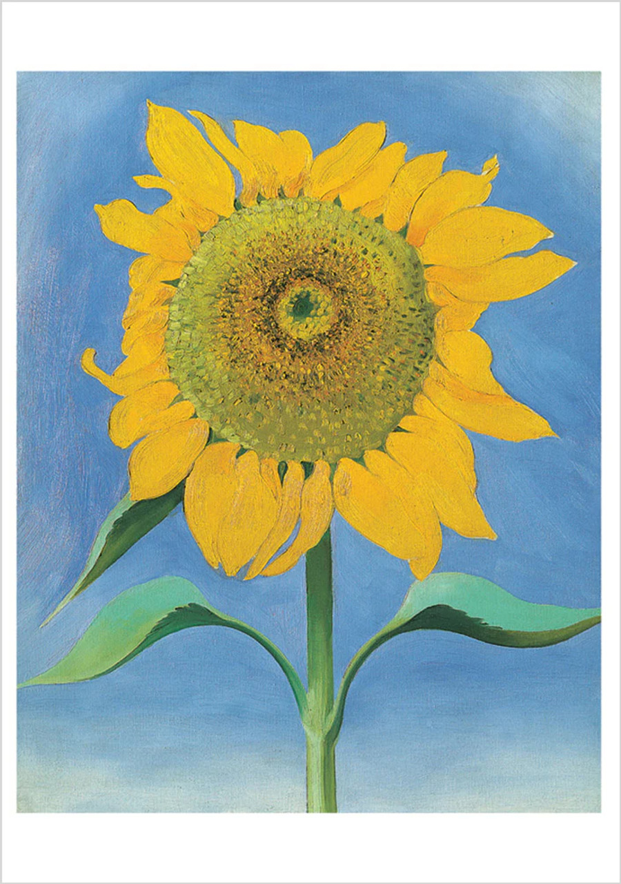 Georgia O'Keeffe: Sunflowers Notecard Folio - POMEGRANATE