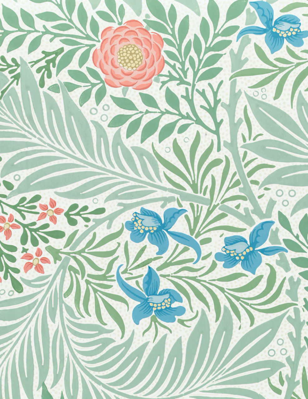 William Morris Keepsake Boxed Notecards - POMEGRANATE
