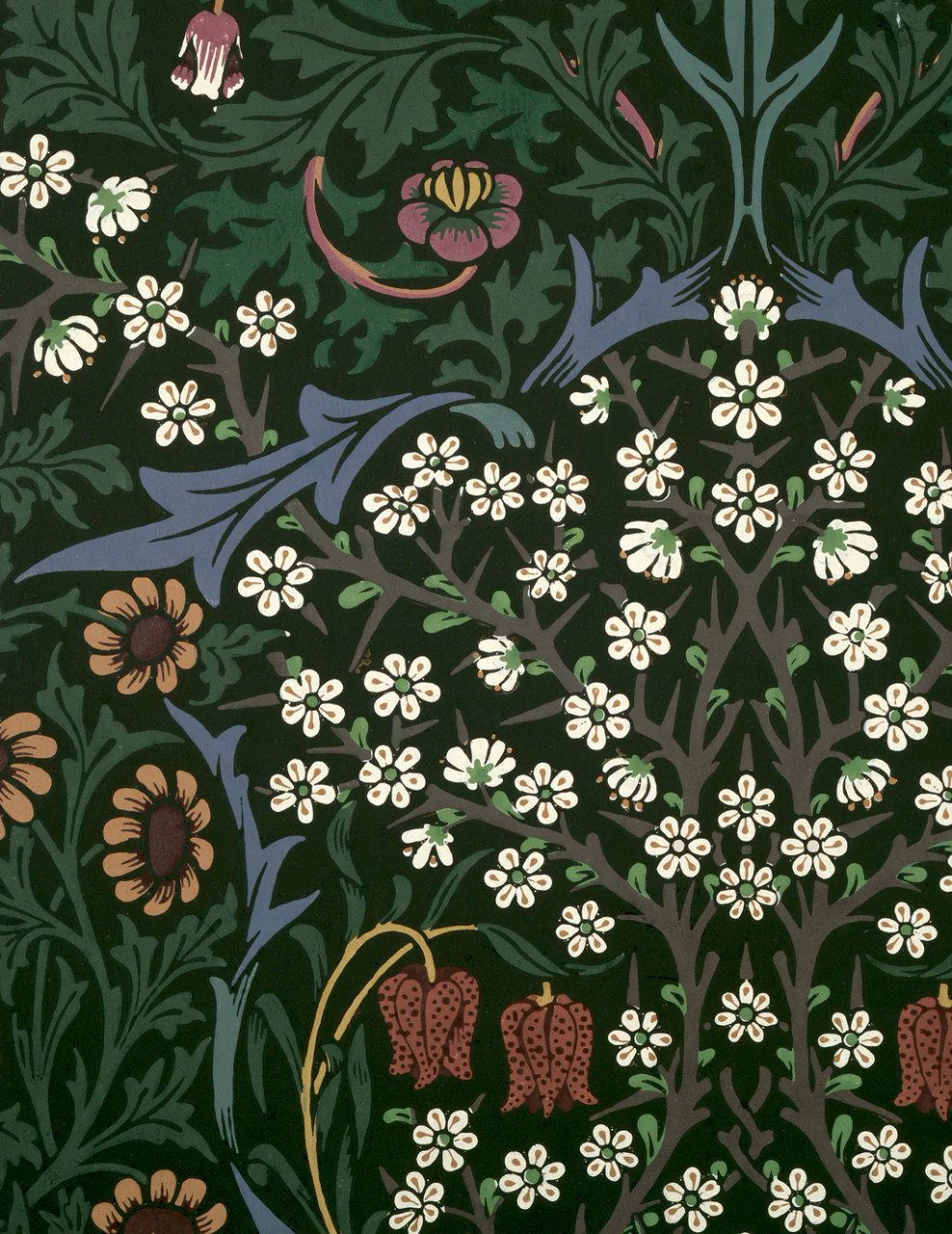 William Morris Keepsake Boxed Notecards - POMEGRANATE