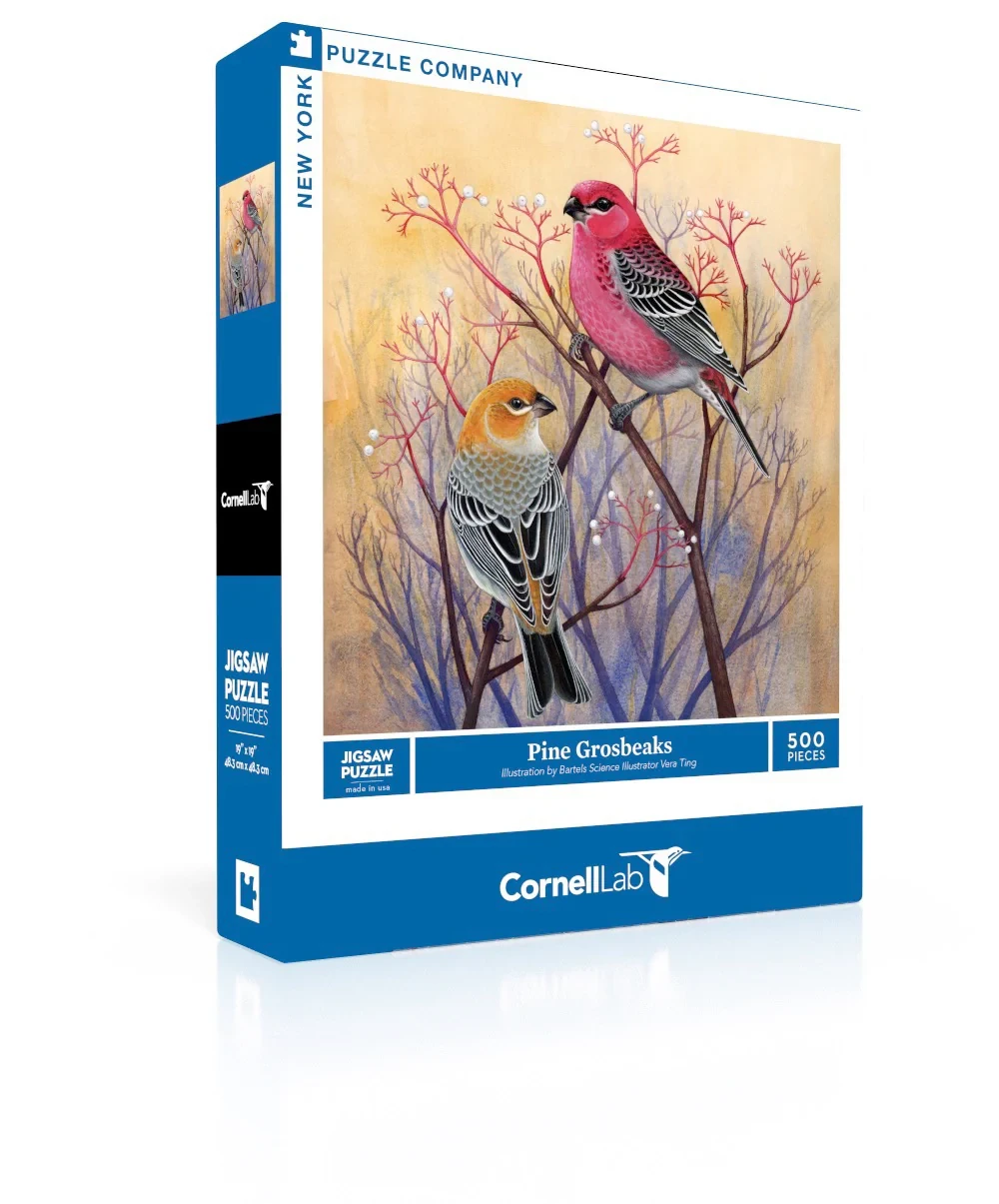 Pine Grosbeaks 500 Piece Jigsaw Puzzle