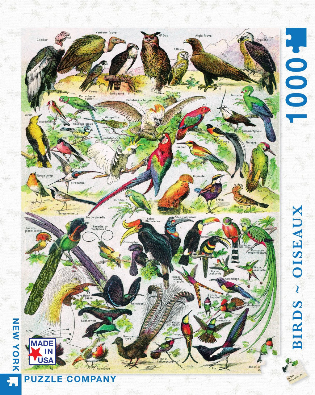 BIRDS ~ OISEAUX - 1000 Pcs