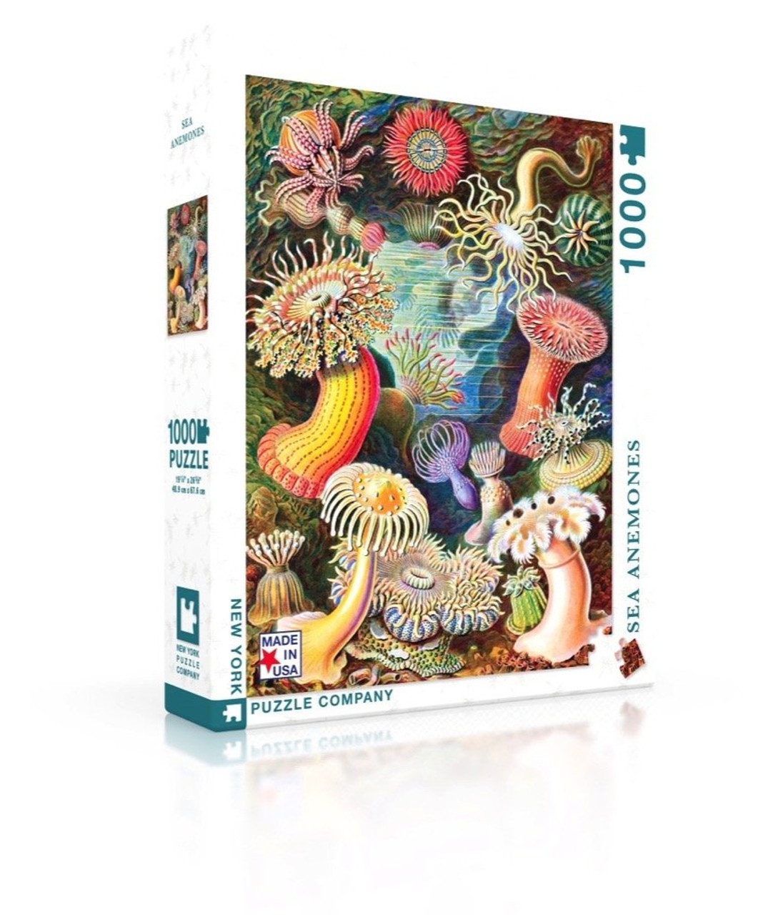 SEA ANEMONES - 1000 Pcs