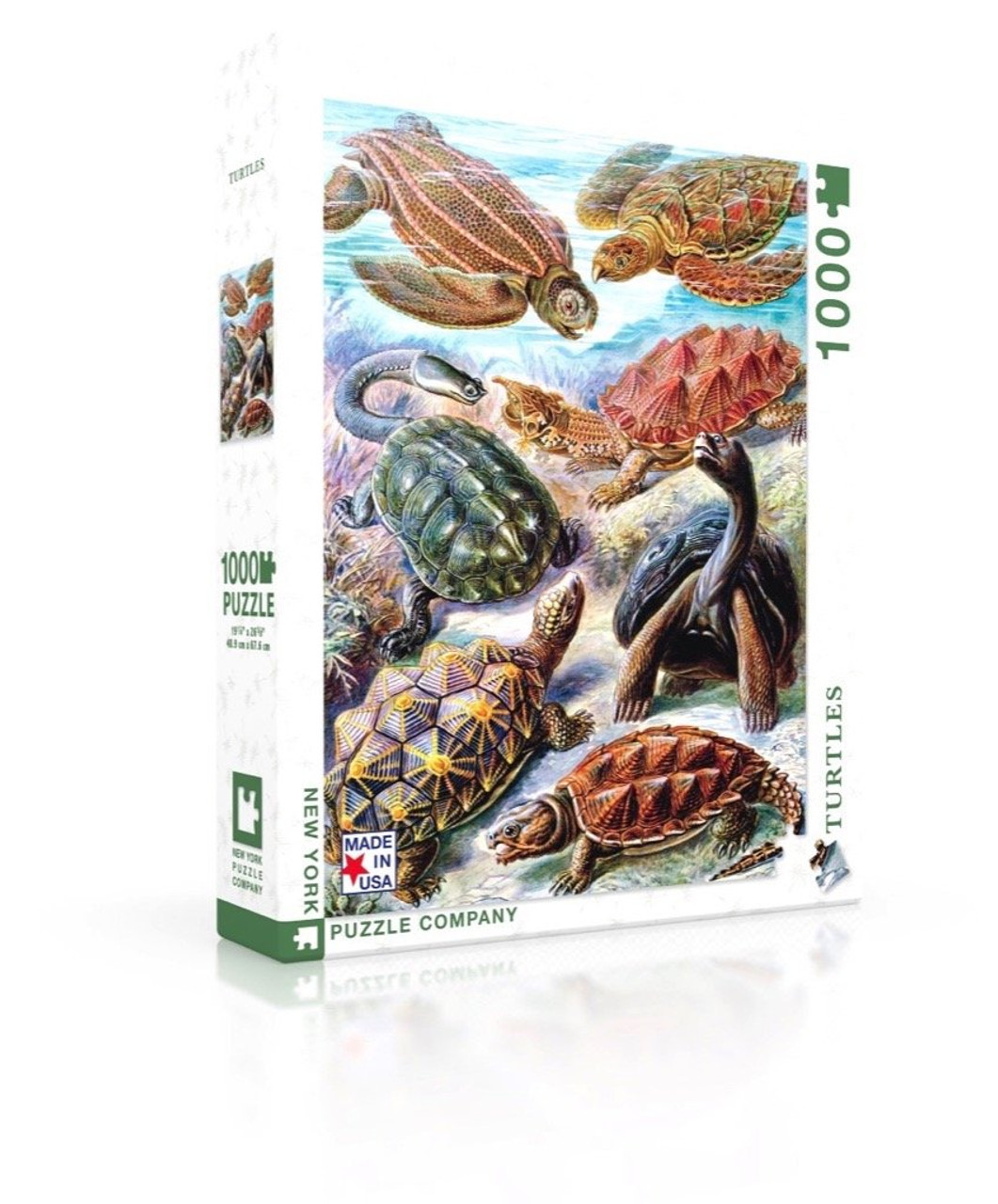 Turtles - 1000 Pcs