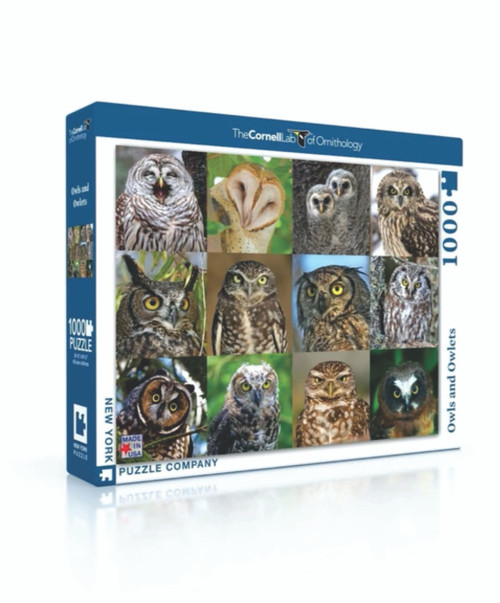 OWLS AND OWLETS - 1000 pieces