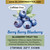 Berry Berry Blueberry, Caff-free, Fruit and Herbal Loose Leaf Tea Blend