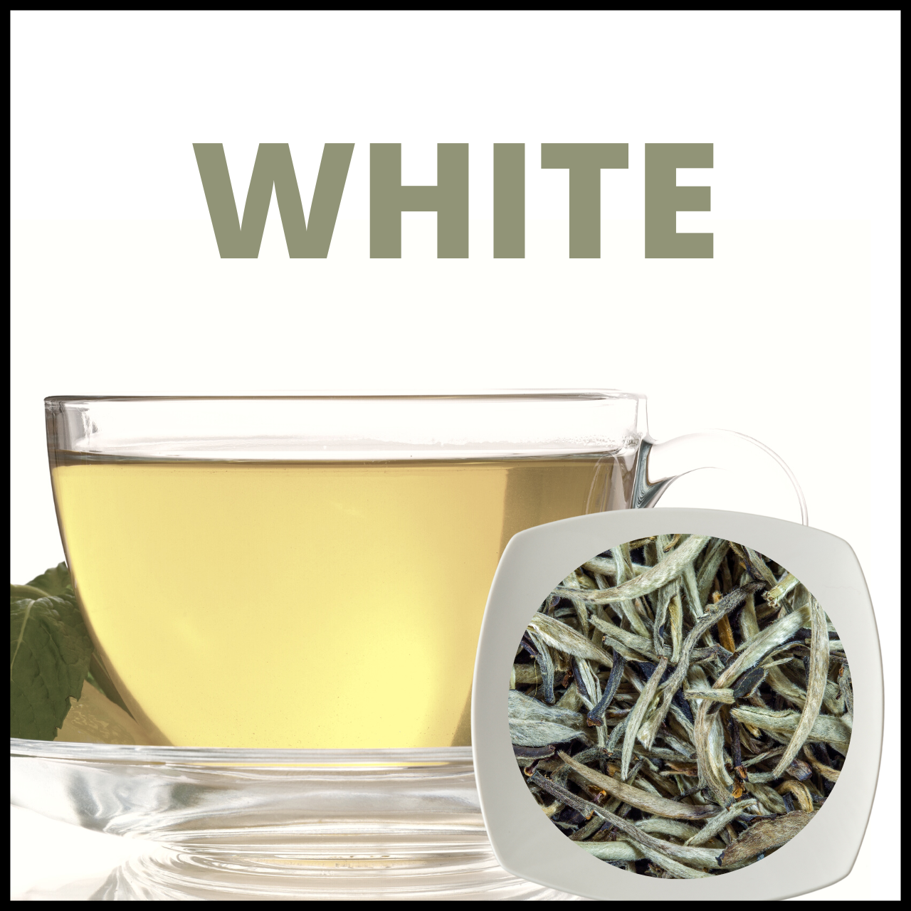 White Tea