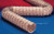 Primary Image,Logo