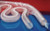 Primary Image,Logo,Piktogramm