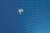 Primary Image,Logo