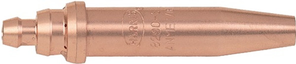 Primary Image,Logo