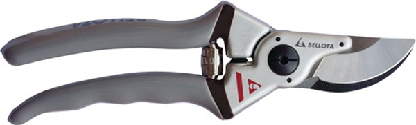 Primary Image,Logo