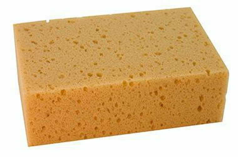 Primary Image Primary Image