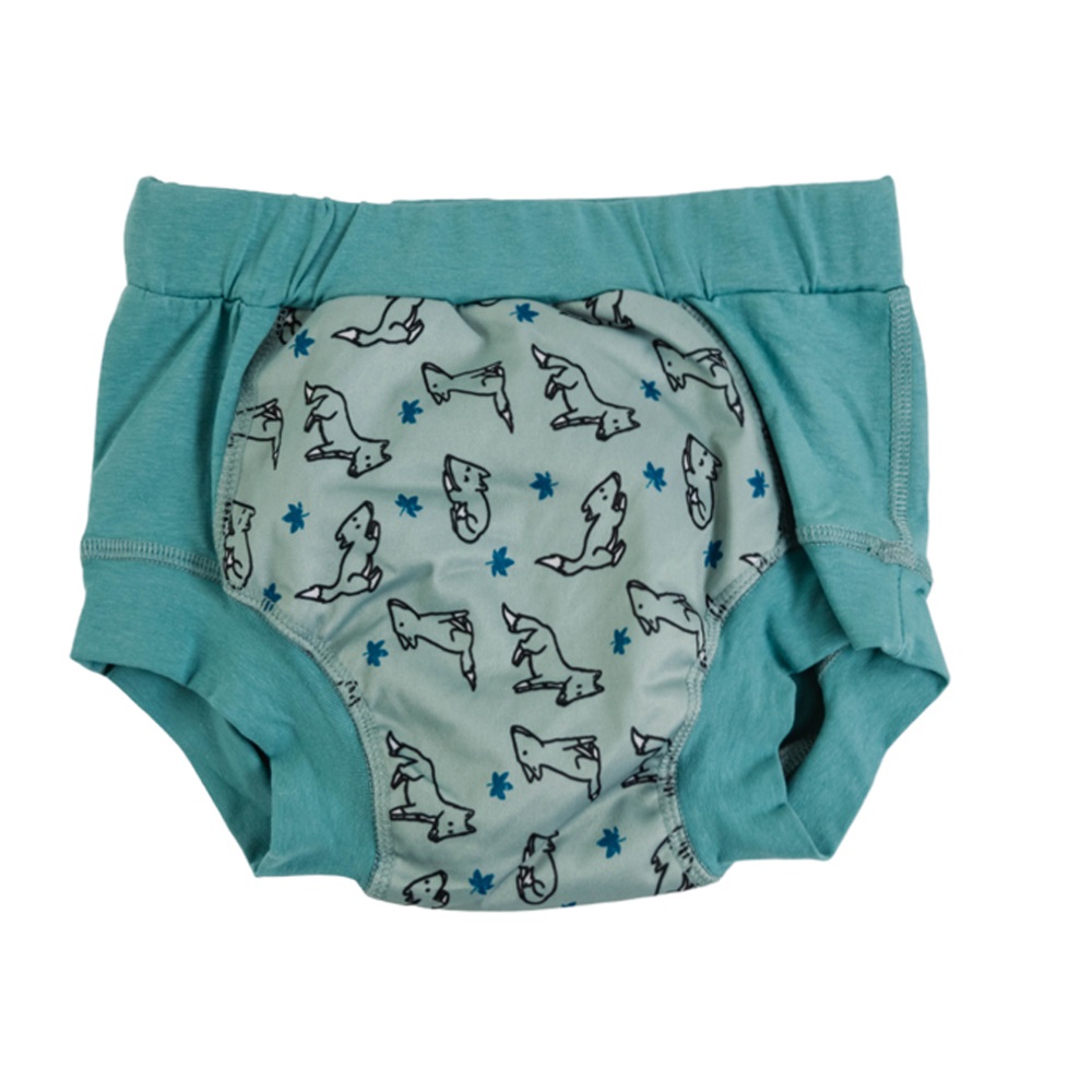 Wee Pants Training Pants - Foxes (Aqua)