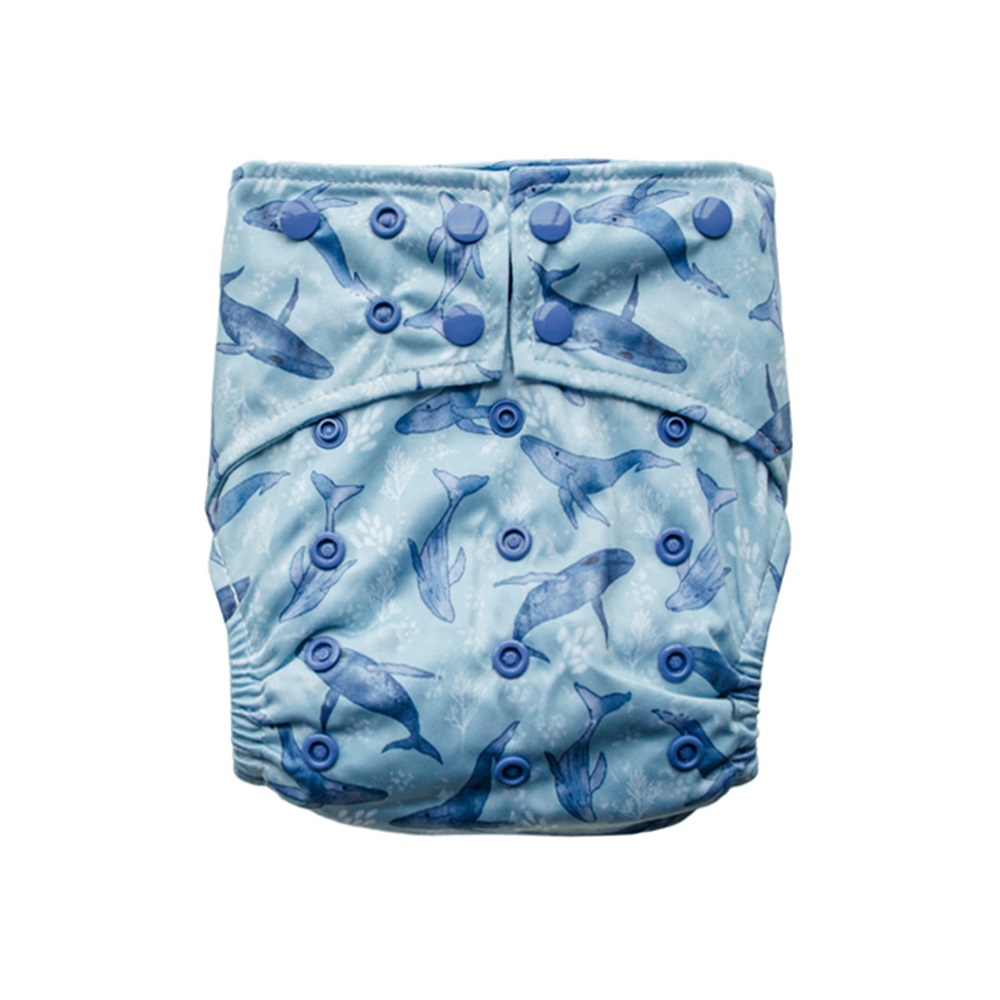 Sassy Snap Nappy with 2 Inserts - Whales