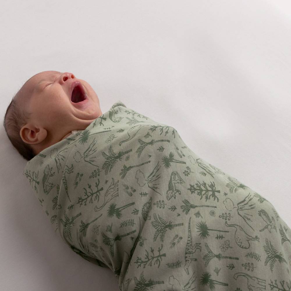 Woolbabe Merino/Organic Cotton Swaddle/Blanket - Flax Zealandia