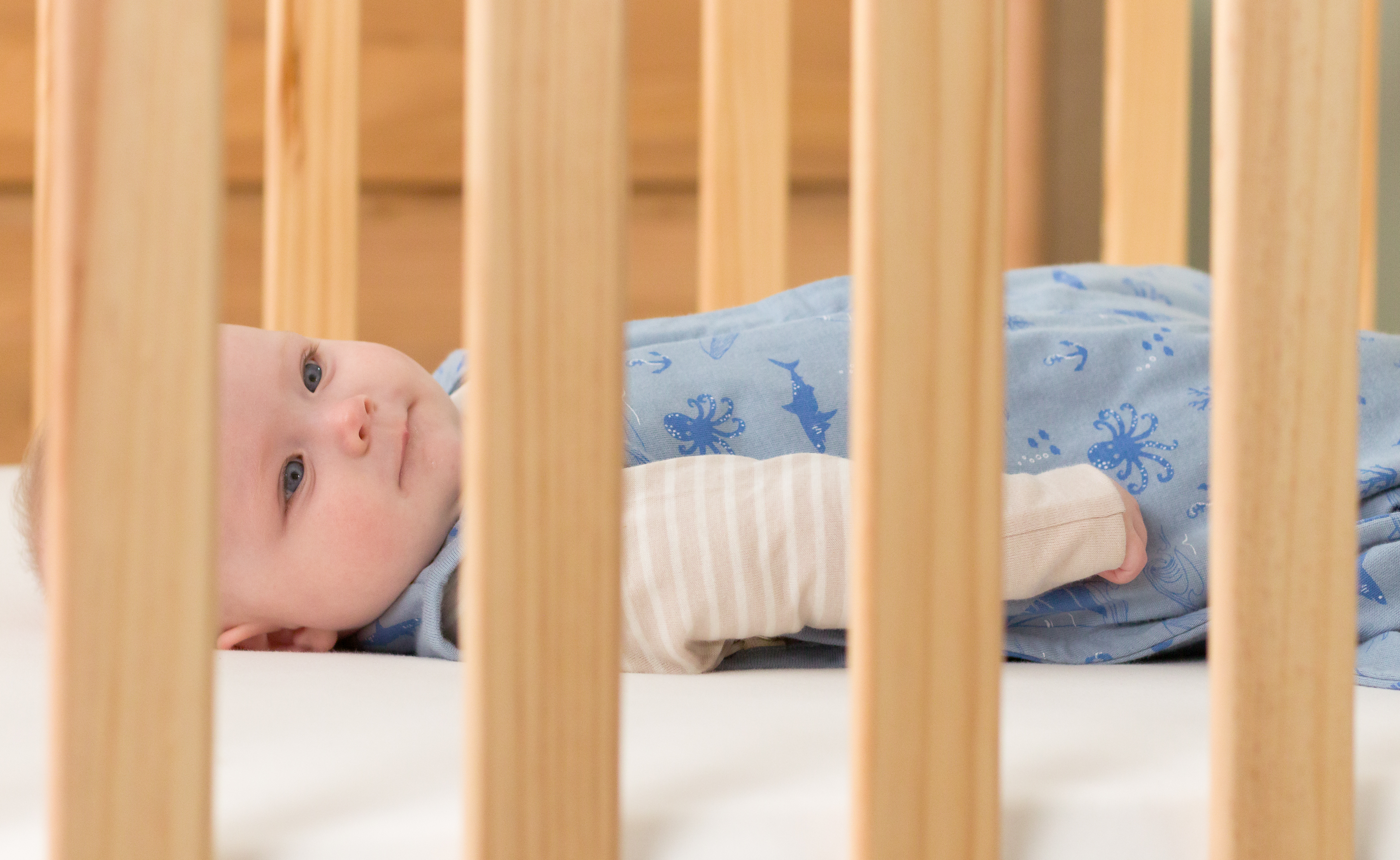 Woolbabe 3 Seasons Front Zip Merino/Organic Cotton Bag - Glacier Sail Away